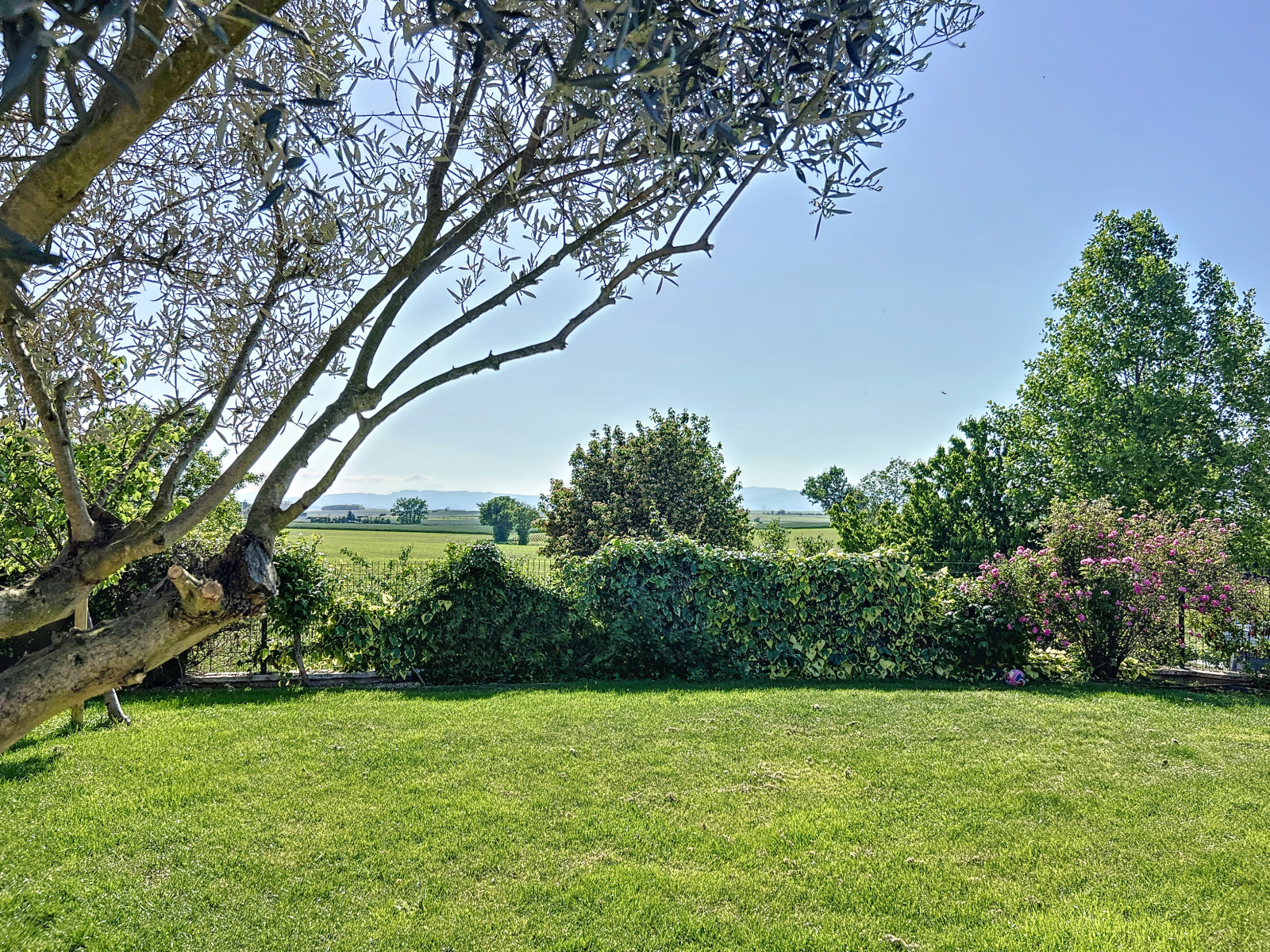 Image_3, Maison, Savigneux, ref :MG1728