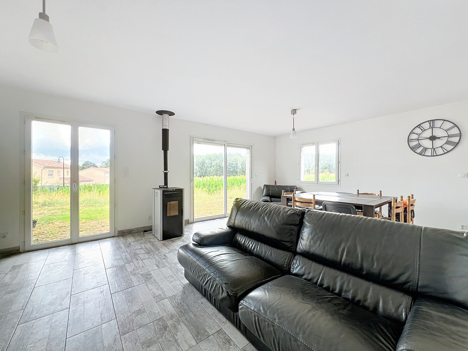 Image_5, Maison, Saint-Didier-de-Formans, ref :MG1904