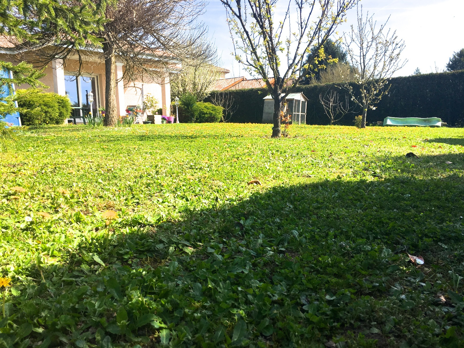 Image_1, Villa, Jassans-Riottier, ref :DM1105