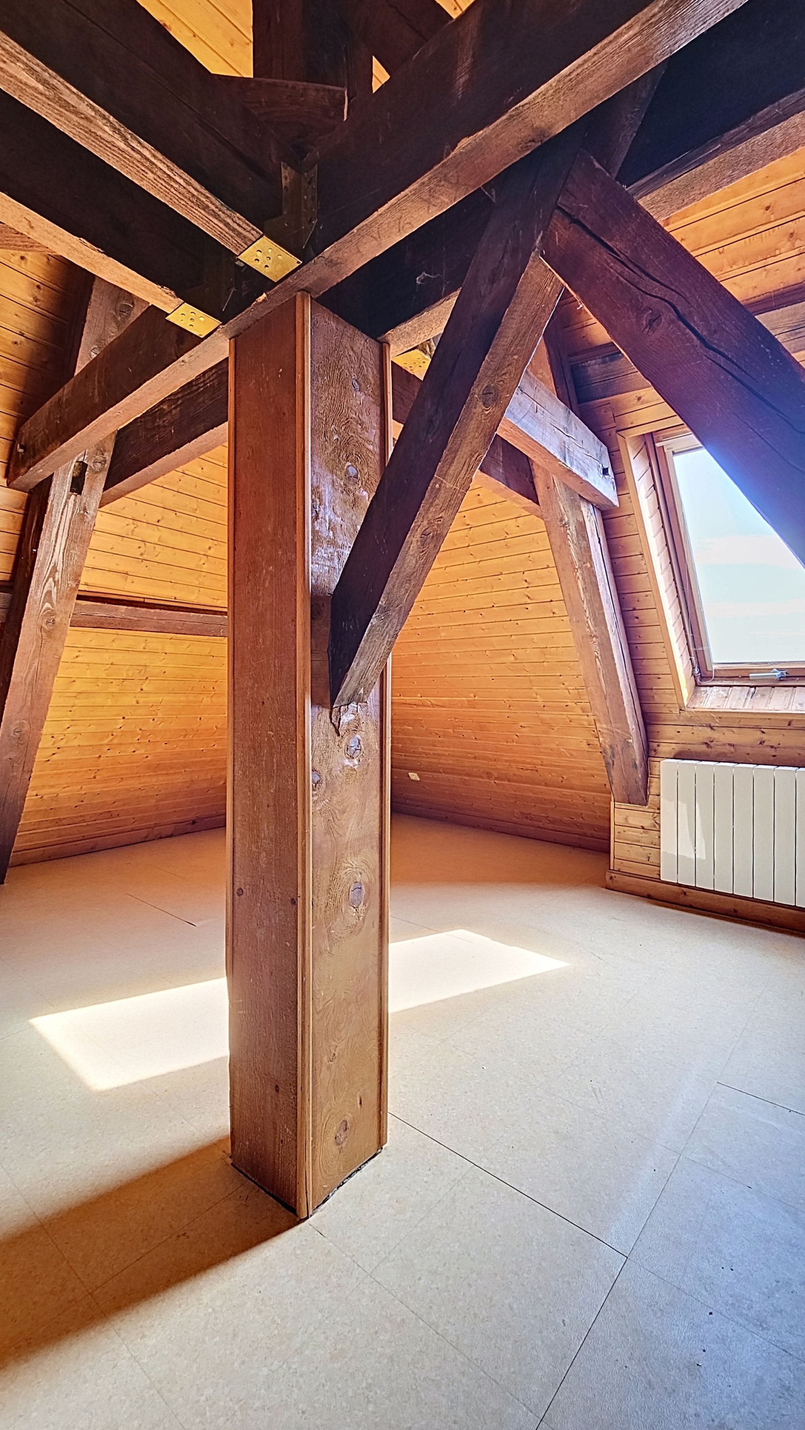 Image_12, Duplex, Jassans-Riottier, ref :ACA2190