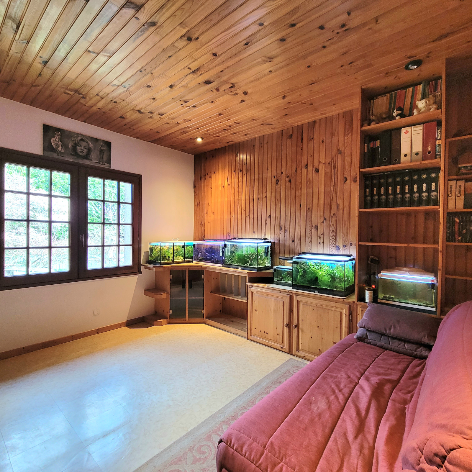 Image_8, Maison, Albigny-sur-Saône, ref :LR2022