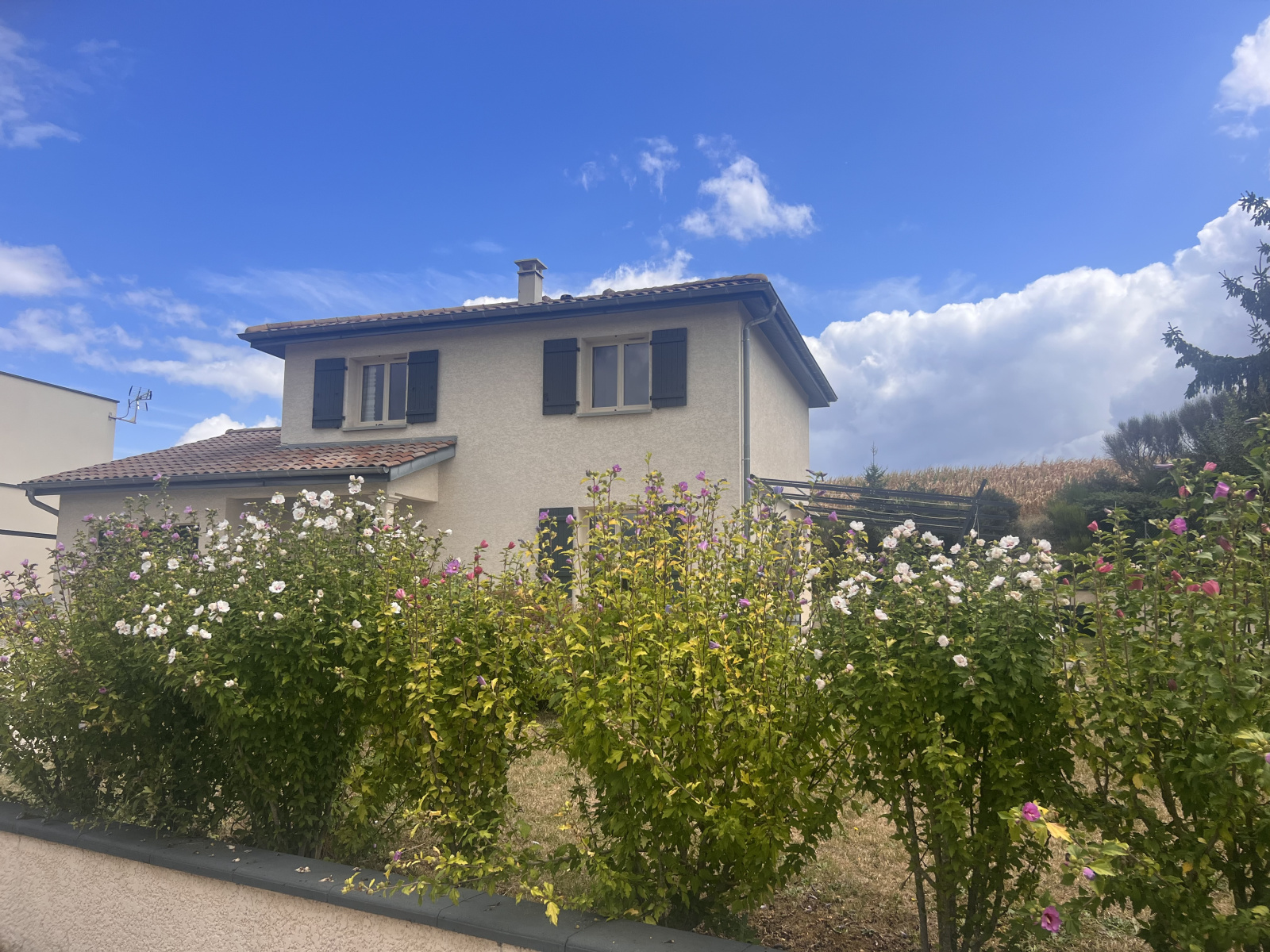 Image_2, Maison, Frans, ref :MG1733