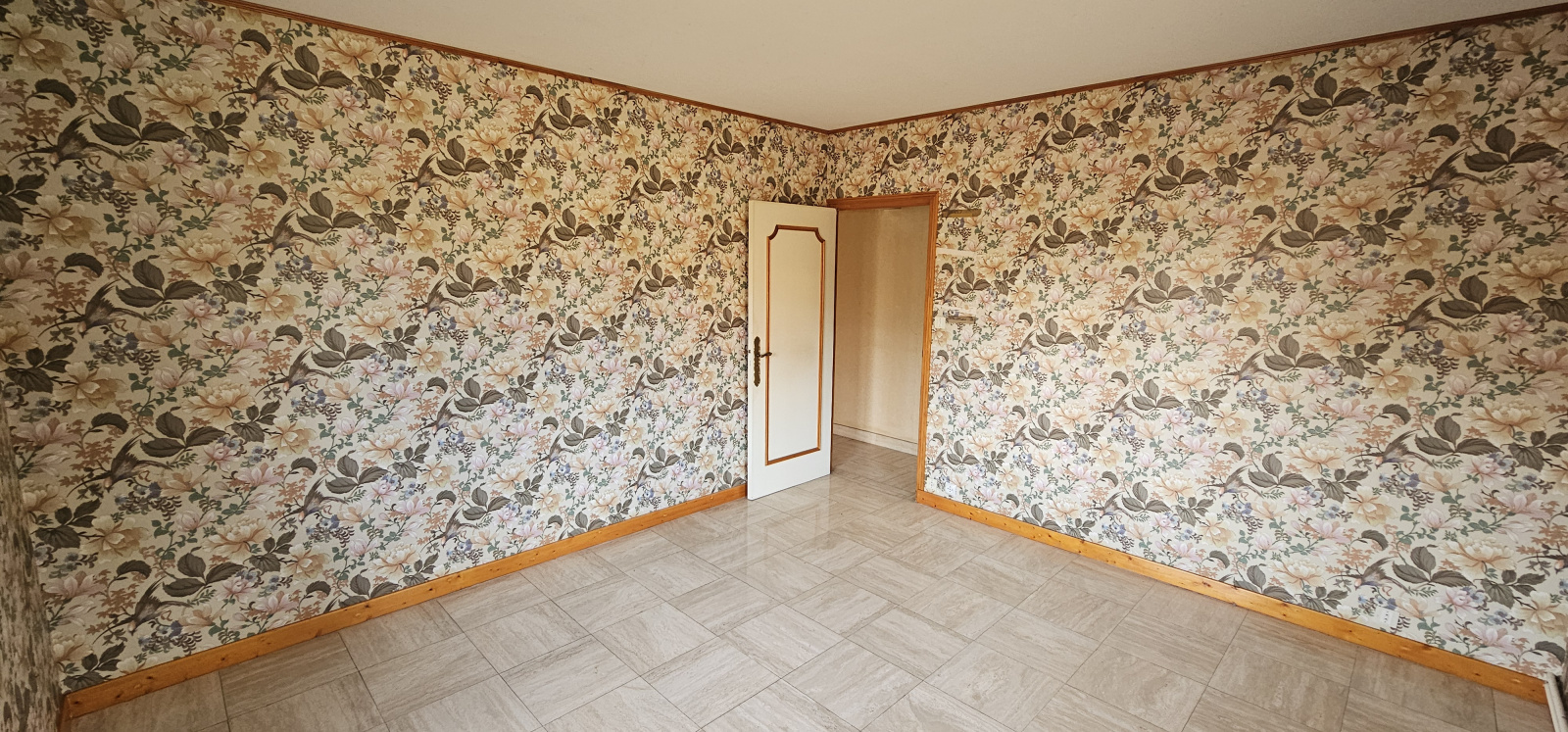 Image_9, Maison, Jassans-Riottier, ref :MG1973