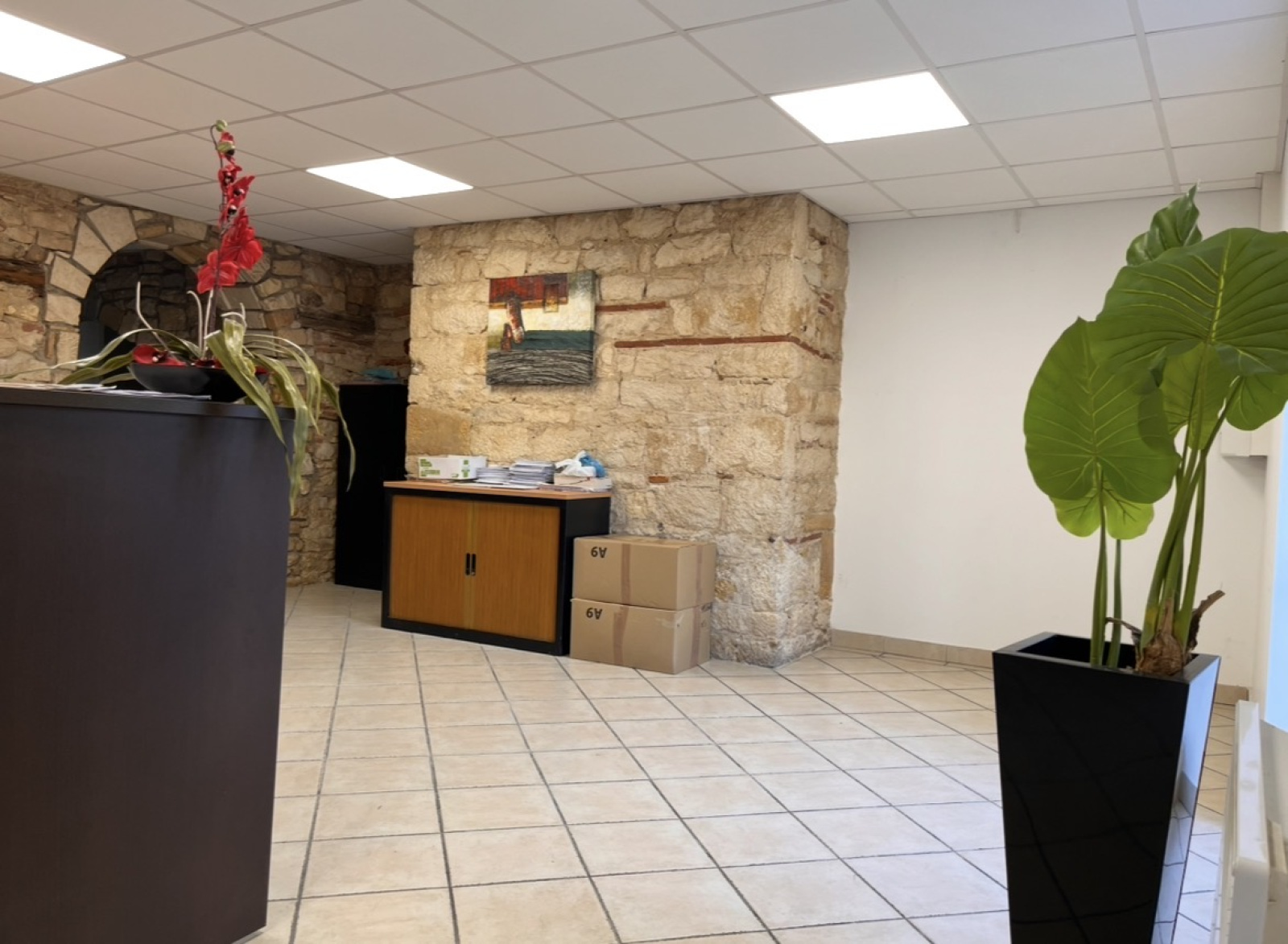 Image_3, Local commercial, Jassans-Riottier, ref :AC2133