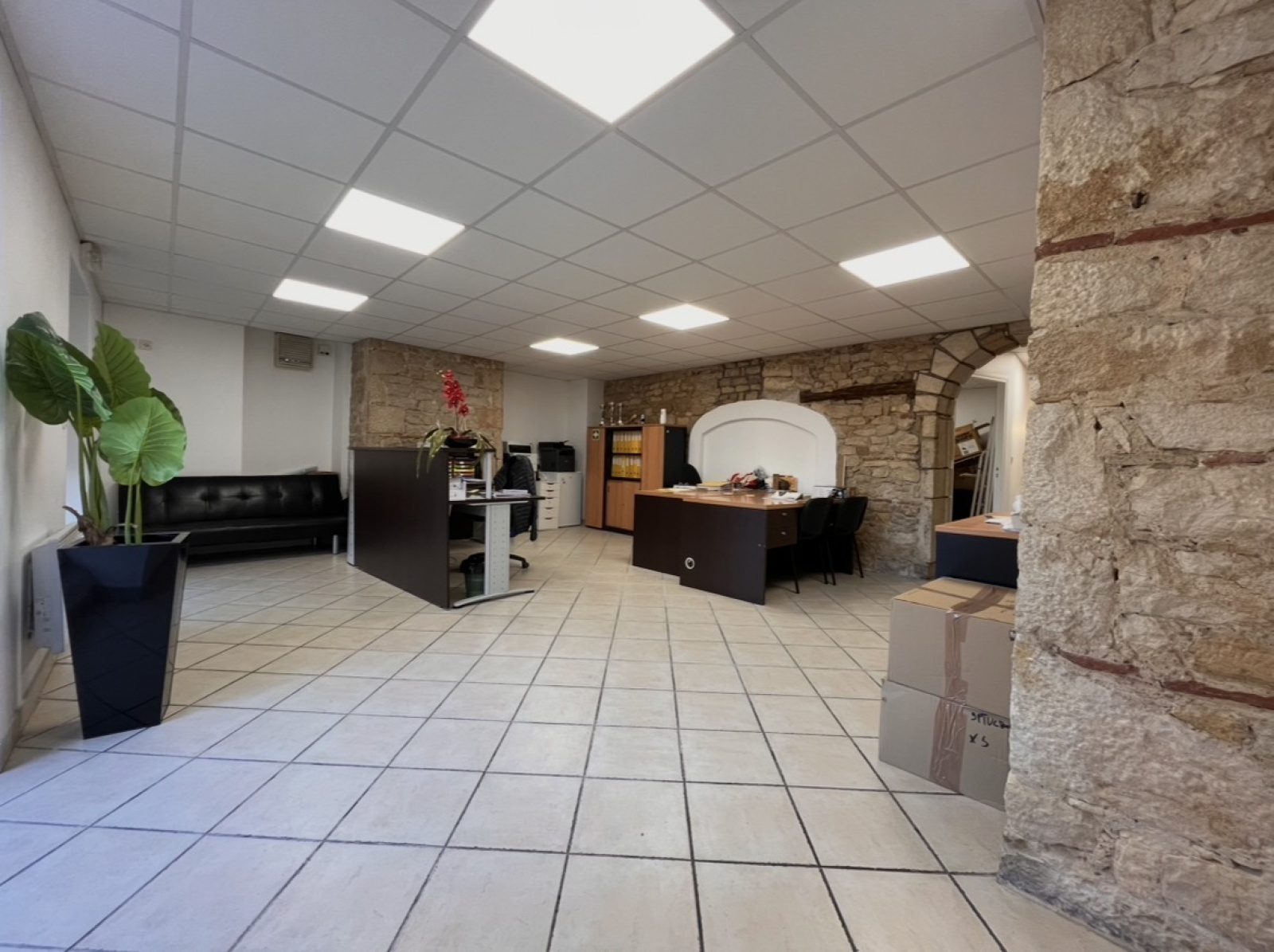 Image_3, Local commercial, Jassans-Riottier, ref :AC1901