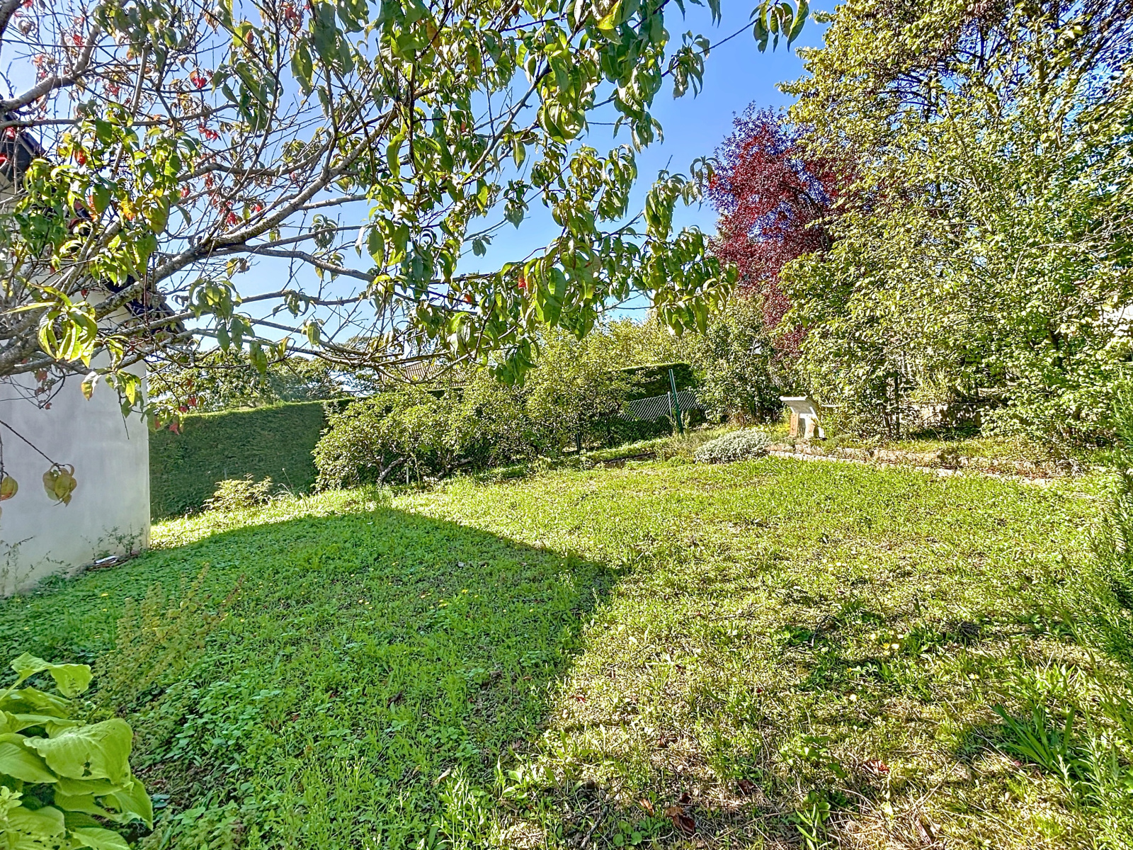 Image_13, Maison, Crêches-sur-Saône, ref :BC2049